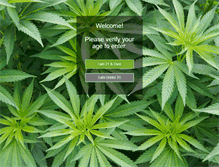 Tablet Screenshot of highqrockies.com
